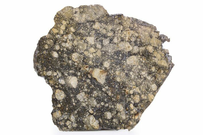 Eucrite Meteorite Slice ( g) - From Vesta Minor-Planet #302223